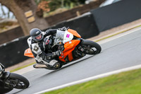Oulton-Park-14th-March-2020;PJ-Motorsport-Photography-2020;anglesey;brands-hatch;cadwell-park;croft;donington-park;enduro-digital-images;event-digital-images;eventdigitalimages;mallory;no-limits;oulton-park;peter-wileman-photography;racing-digital-images;silverstone;snetterton;trackday-digital-images;trackday-photos;vmcc-banbury-run;welsh-2-day-enduro